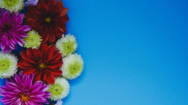 在疫情不明 在疫情不明